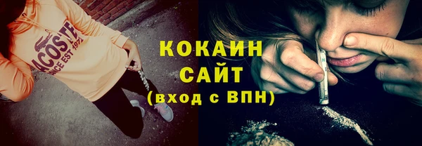 сатива Аркадак