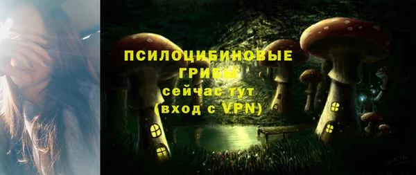 трава Арсеньев