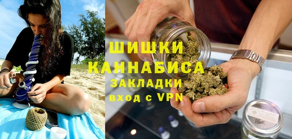 сатива Аркадак