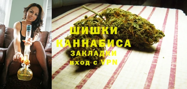 сатива Аркадак