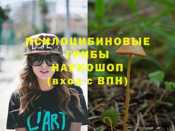 трава Арсеньев