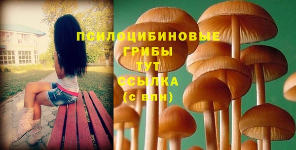 трава Арсеньев