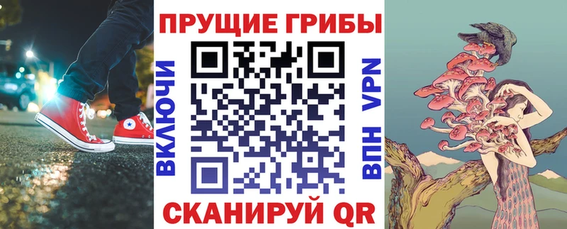 Галлюциногенные грибы Psilocybine cubensis  Учалы 
